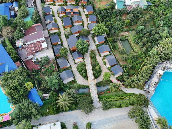 Top 5 avantages des fleurs de chanvre pour réduire les stéréotypies